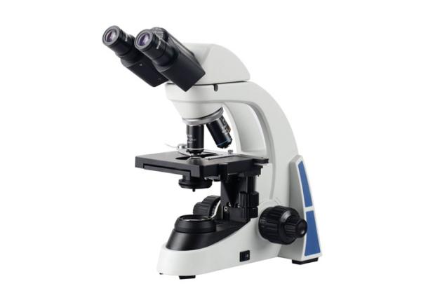 Quality 3W LED Illumination Compound Biological Microscope With Double Layer Mechanical Stage for sale