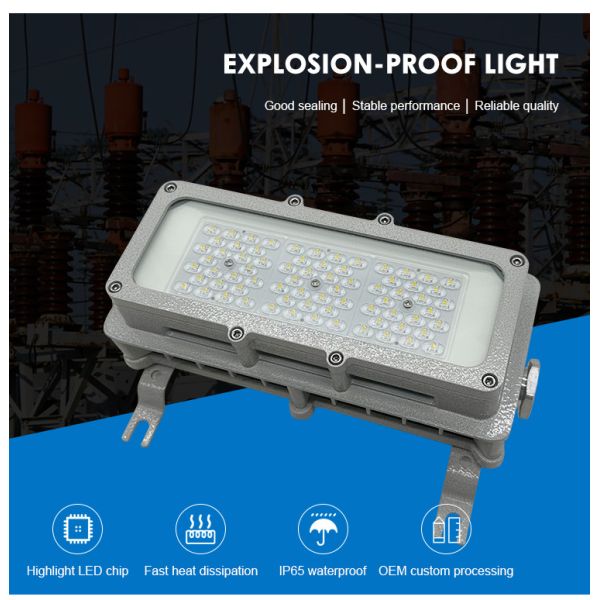 Ip65 Atex Explosion Proof Flood Light 50w Explosion Proof Floodlight