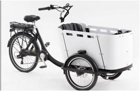 China 250W Kid / Cargo Electric Delivery Tricycle With Canopy wholesale