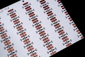 China HOT 5050RGBW WW fpc High-Quality Flexible PCB Fast Prototype &amp; Mass Production Use For Led Light Double layer circuit board, double-sided WHITE film wholesale