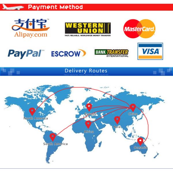 International Shipping Service From China to Us UK Canada Europe Door to Door Delivery