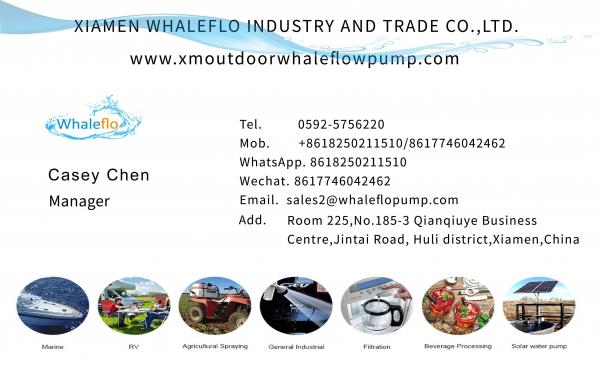Whaleflo 2T/H Dc Motor 24V Household Solar Powered Submersible Centrifugal Water Pumps Pond Water Pump