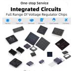 Raspberry Pi Hupper Integrated Circuit Chip SAK-TC213L-8F133N AC