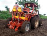 Flat Garden Seeder Row Planter , Chop L14cm Paddy Two Row Planter