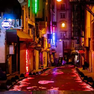 Scenic Zoo Lighting Projection Mapping Technology For Park Lighting Projection