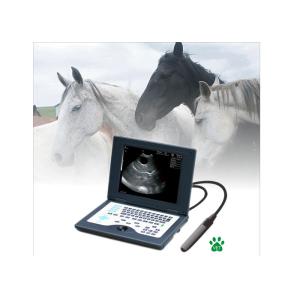 China CLS5800 laptop Veterinary Ultrasound Scanner Full Digital Ultrasonic Diagnostic System wholesale