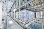 ICHO ASRS Racking System / Automated Warehouse Racking Systems With Q235