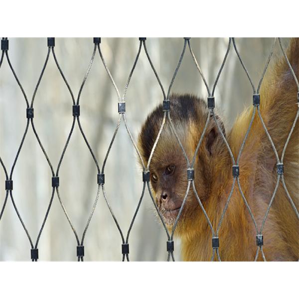 Hand Woven Stainless Steel Cable Netting Wire Mesh Monkey Enclosure SGS Certified