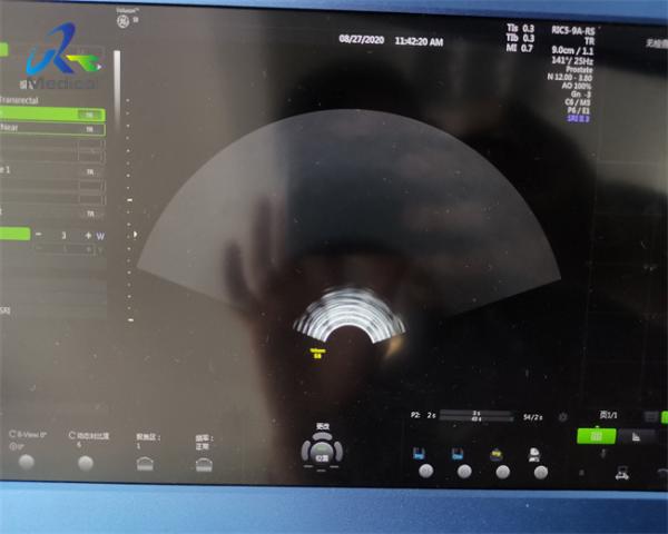 Quality GE RIC5-9A-RS 3D 4D Endocavity Ultrasound Transducer Dome And Crystal Array Replacement for sale