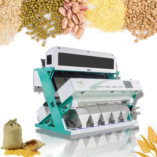 Wenyao Mung Bean Color Sorting Machine Intelligent Beans Color Sorter With