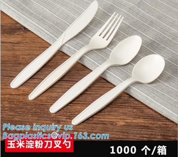 factory direct biodegradable corn starch 5 inch dessert spoon,food grade disposable biodegradable corn starch spoon pac
