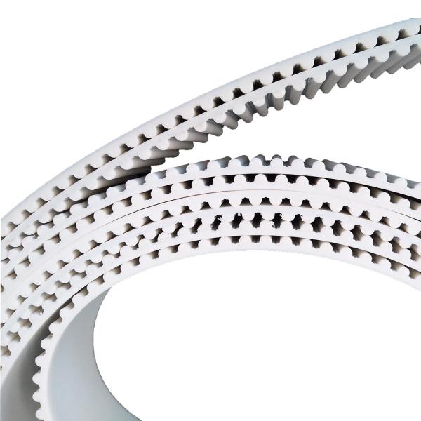 Quality Customized PU Steel Cord Timing Belt for All Type to Meet Your Needs for sale