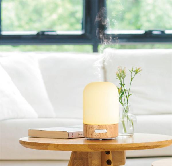 Quality Delko Ultrasonic Aroma Diffuser - Imagine Essential Oil Rechargeable Diffuser 100 ml in Iridescent for sale