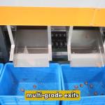 AI Powered Palm Dates Sorting Machine 2 Tons Capacity with CE MD Certificate