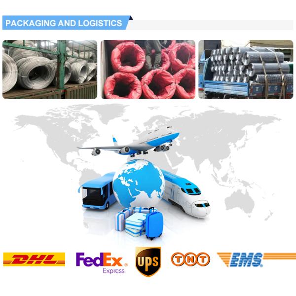 Assurance Hot Dipped Galvanized Steel Wire Rolls for Binding Wire and Punching Service