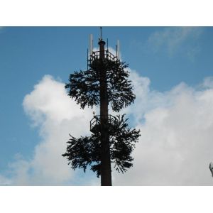 China Pine Tree 50m Camouflage Cell Tower For Telecommunication on sale China Pine Tree 50m Camouflage Cell Tower For Telecommunication on sale