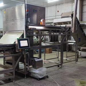 Accurate Optical Sweet Potato Dice Sorting Machine