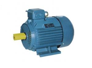 China YE3 Series Electric Motor / Three Phase Induction Motor With Cast Iron Frame wholesale