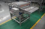 220v/ 380v Automatic Dates Palm Sorting Washing And Drying Processing Machine