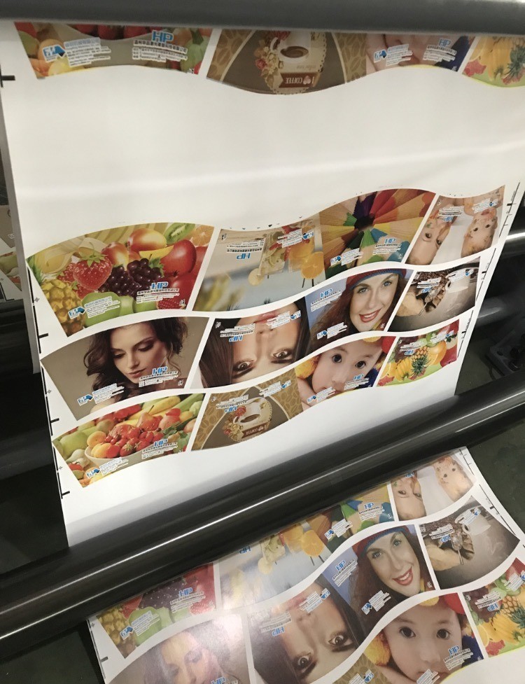 Max. Printing Width 1000mm Automatic Grade Flexo Printer for Paper Roll