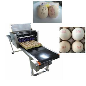 High Tech Carton Coding Machine Eggs Number Inkjet Printer With Solvent For Egg Supplier