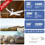 1/ 4 / 8 Hours Timming Plastic Blade LED Ceiling Fan With Remote Smart App