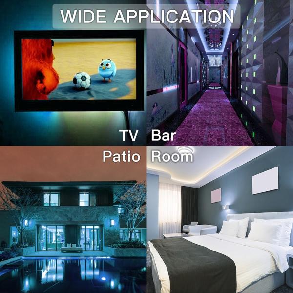 2835 SMD 5M 10M 20M DC12V 3528 RGB Flexible LED Strip Lights