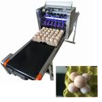 High Speed Egg Date Code Printing Machines With Continuous Spray Printing