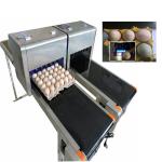 Digital Egg Batch Coding Machine / Inkjet Coding Machine For Effective Date