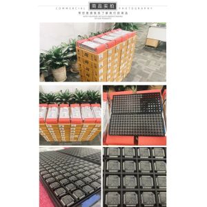 Analog ADIN1100 Co ADIN1100 Chips New Original Microcontroller Electronic