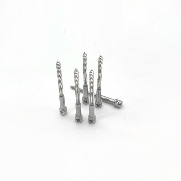 Self-Tapping Lead Seal Screw For Vehicle Taximeter Self-Tapping Screw With Hole M3*20