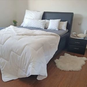 Polyester Filling Solid Microfiber Comforter Breathable Lightweight Summer Duvet