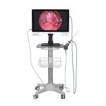 FHD All In One Endoscope Camera System Built-in LED Light & Flexible Scope For