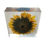 cubic Acrylic resin paper weight with custom embedding inside