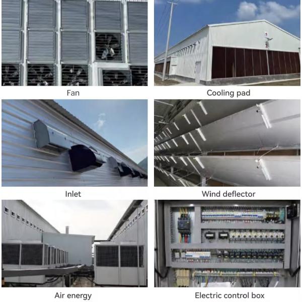 KXD Poultry House Equipment Automatic Broiler Feeding System For Broilers / Layers