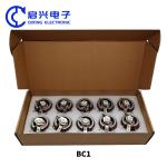 BC1 Porcelain Disk Variable Resistor with Customizable Ceramic Materials 25W 50W