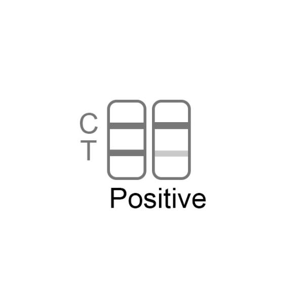 SARS-CoV-2 Ag Rapid Self Test Kit 25 Tests/Kit CE For Nasal Swab Sensitivity 98.84%