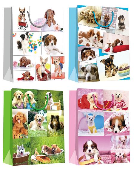 Birthday Gift Bags