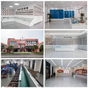 Underground TC300 PQWT Water Detector Full Automatic Mapping 300M