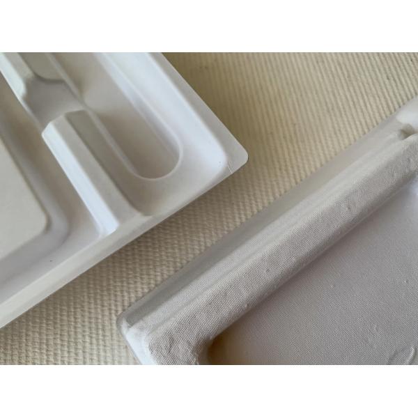 100% Renewable Virgin Fiber Paper Tray Sustainable Custom Compostable Packaging