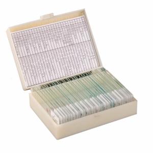 China Homeschool Teaching 30pcs Human Tissue Microscope Slides On Basic Science on sale