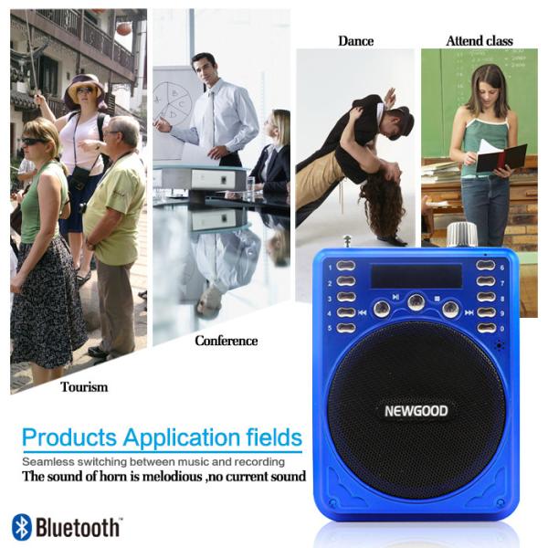 Quality Portable Bluetooth Speakers Player with TF card and voice amplifier/recording function for sale