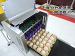 High Capacity Egg Date Stamp Machine With Large - Scale Integrated Circuits