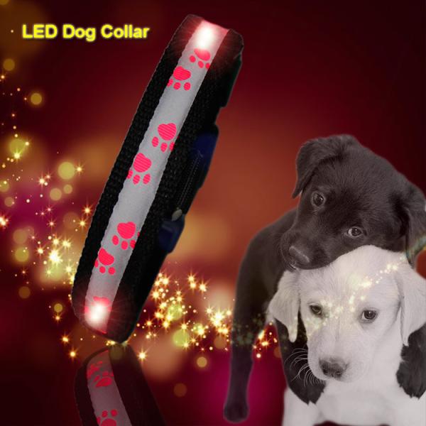 C903 Factory Price Usb Rechargeable Waterproof Dog Leash with Led Flashlight Collar