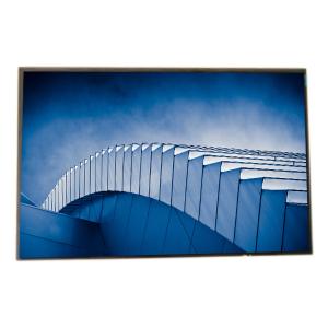 China LQ101R1SX01A Sharp 2560x1600 2K 10.1inch laptop lcd screen Monitor lcd panel on sale