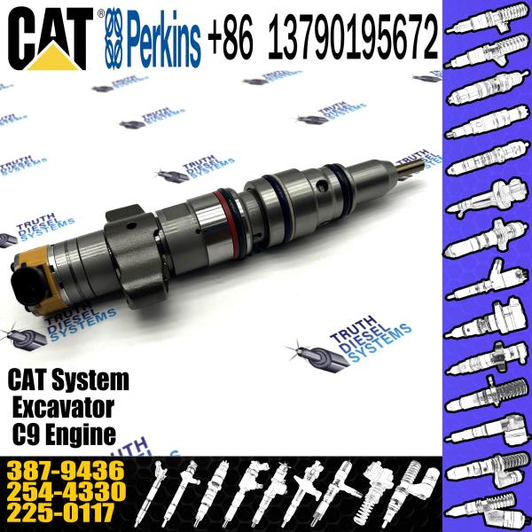 Common rail Injector Diesel fuel Injector Sprayer 293-4072 293-4071 387-9434 387-9436 for CAT C7 C9 Engine