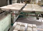 Sugarcane Bagasse Tableware Pulp Molded Machine With Robot Arm