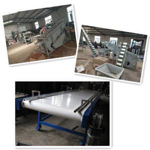 China walnut processing machines, walnut cracker, walnut shelling machine wholesale