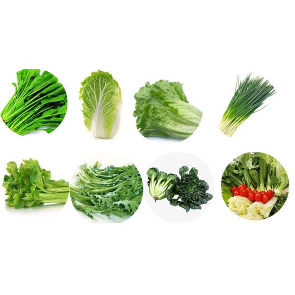 Auto Vegetable Fruit Washing Machine Salad Spinach Strawberry Cleaning