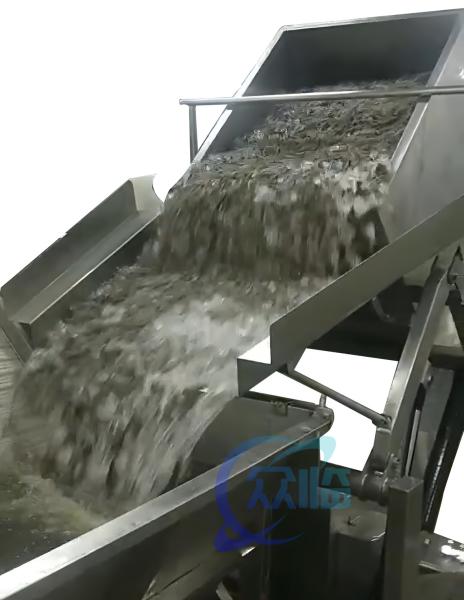 Quality Practical 2200W Shrimp Processing Machine With Electric Lifting for sale